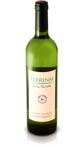 Vino tinto Gual Brioso